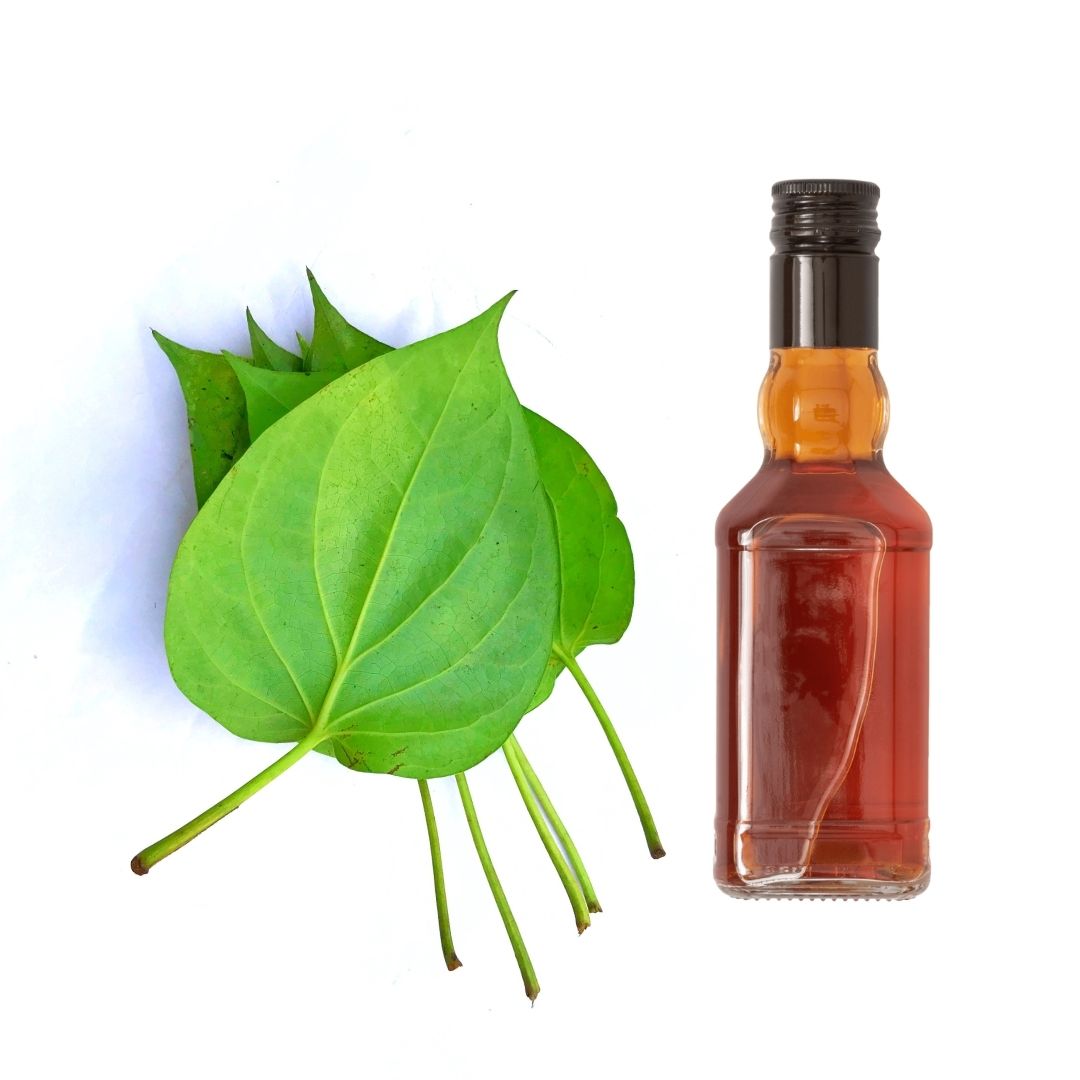 Betel Leaf Oil Inaexport betel-leaf-oil-inaexport